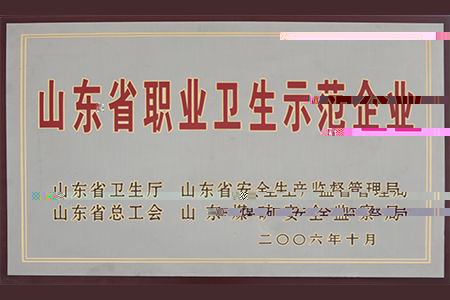 2006年10月山東省職業衛生示範企業